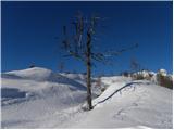 Planina Blato - Visoka glava